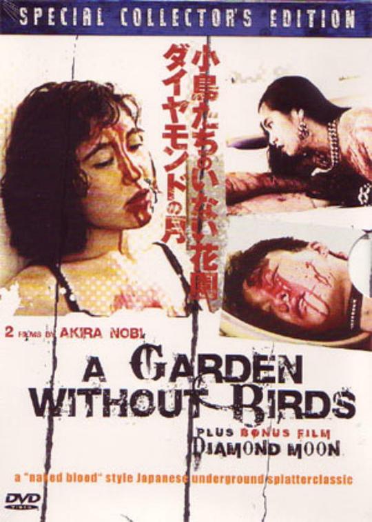 韩国美女vip直播视频影视海报