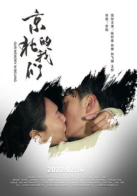 soso小说网影视海报