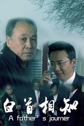 小姐 韩国电影影视海报