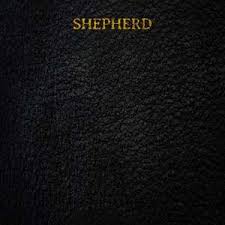 隔壁那个病秧子影视海报