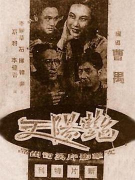 百日追踪影视海报