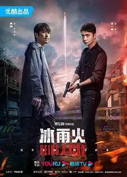 真假王爷影视海报