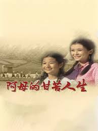 夺爱手段电视剧影视海报