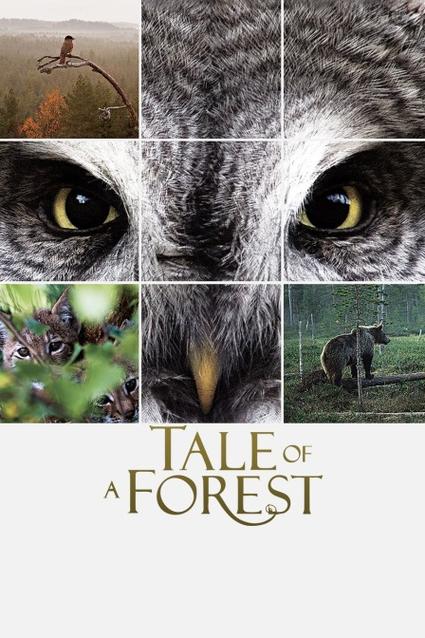 实习医生格雷影视海报