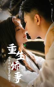 电视剧功勋在线看影视海报