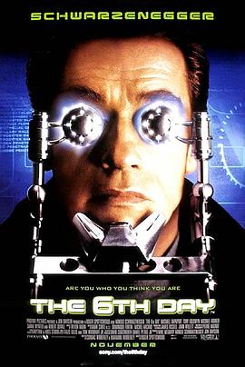 big波林雅诗完整版影视海报