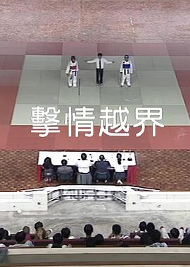 爱你情出于蓝大结局影视海报