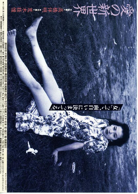 逗鸟外传免费观看乐视影视海报