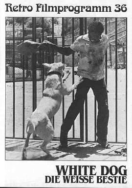 小月光影视海报